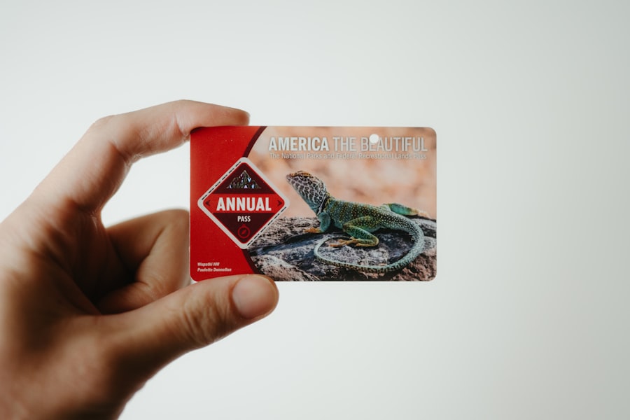 bandhan bank credit card apply